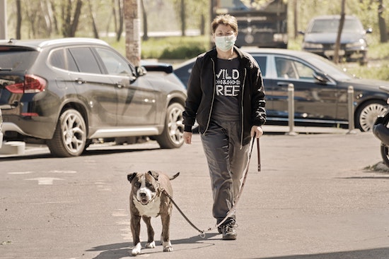 Walking dog with facemask